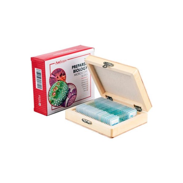 United Scope Llc. AmScope PS25 25 pc. Glass Prepared Microscope Slides with Wooden Box PS25 - main